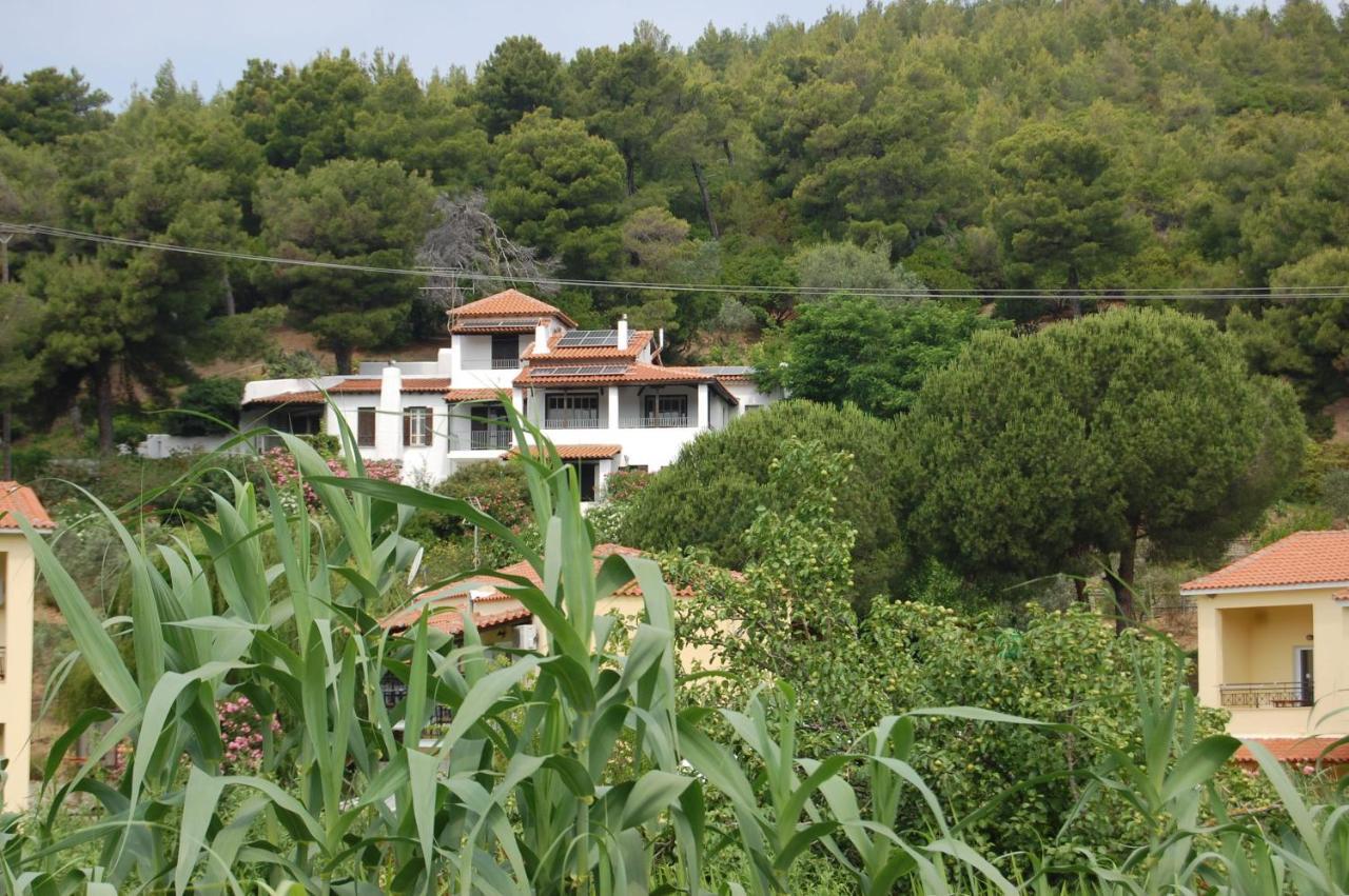 Pine Home Troulos Esterno foto